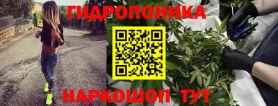 стаф Будённовск