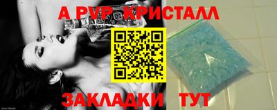 стаф Будённовск