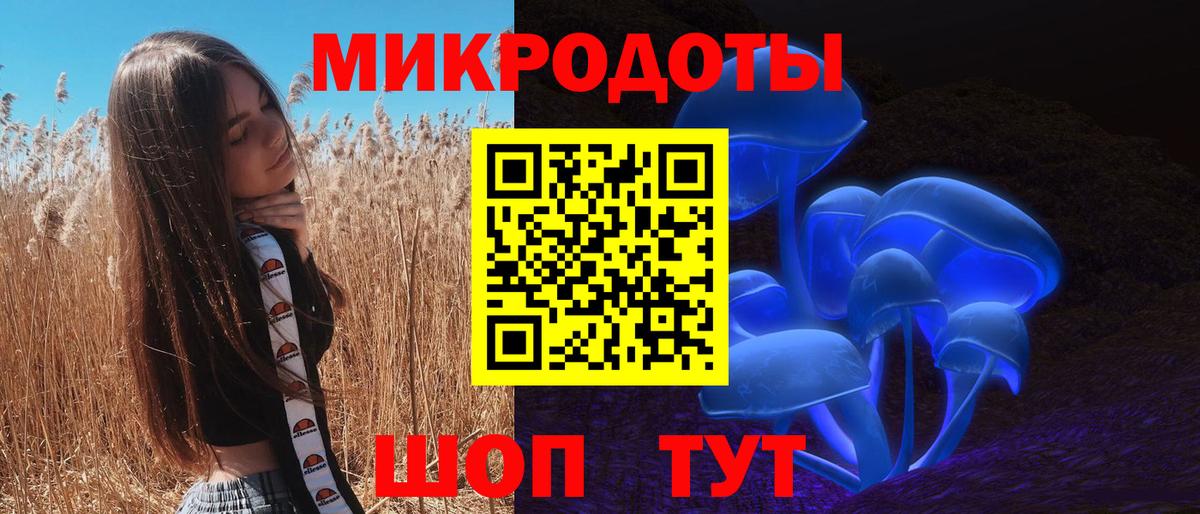 Псилоцибиновые грибы мицелий Курганинск