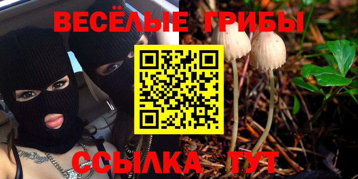 Курганинск  Псилоцибиновые грибы Cubensis  купить наркоту  Вход с VPN 